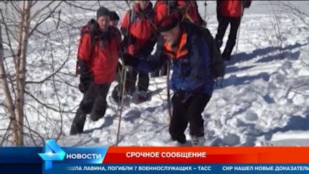 Стали известны подробности поисковых работ на месте схода лавины в Казахстане  - (видео)