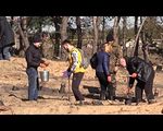 Волонтеры высадили на Луганщине тысячи молодых деревьев - «Видео - Украина»