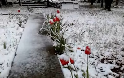 Крым засыпало снегом - (видео)