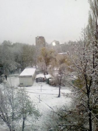 В Украину вернулась зима: снег выпал в двух регионах (ФОТО, ВИДЕО) - (видео)