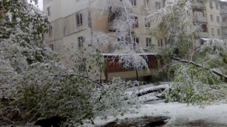В Кишиневе из-за снегопада объявили ЧП - (видео)