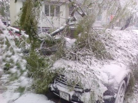 В Кишиневе из-за снегопада объявили ЧП - (видео)