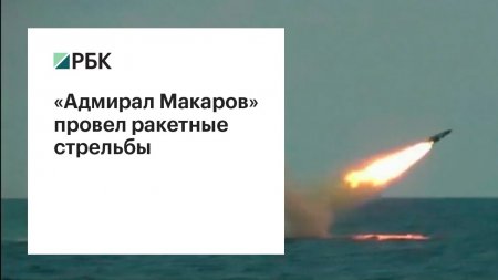 «Адмирал Макаров» провел ракетные стрельбы  - (видео)
