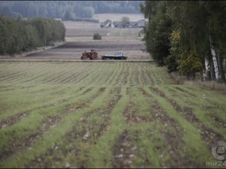 Белорусские ученые создали 70 удобрений для богатого урожая  - (видео)