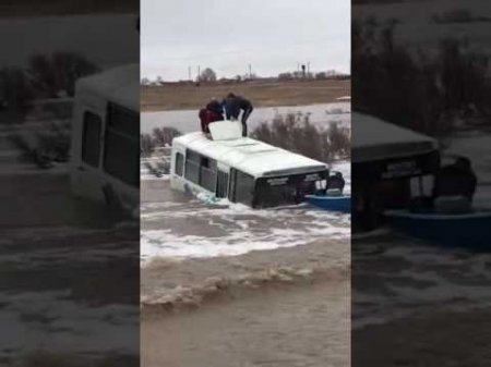 Cпасение детей из тонущего автобуса в Акмолинской области  - (видео)