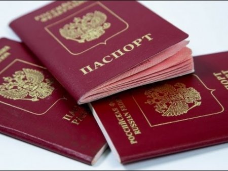 Кого и за что будут лишать гражданства России  - (видео)