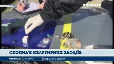 Квартирних крадіїв схопили у Чернівцях  - (видео)