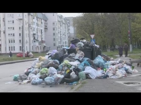 Львов утопает в грязи и вони: люди не могут приоткрыть окна из-за мусора  - (видео)