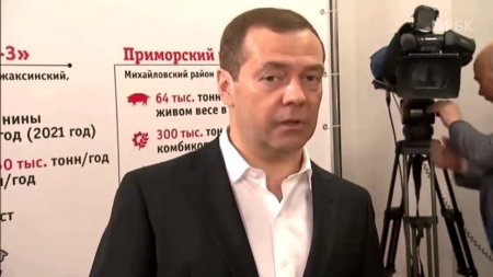Медведев впервые прокомментировал расследование ФБК и антикоррупционные митинги  - (видео)