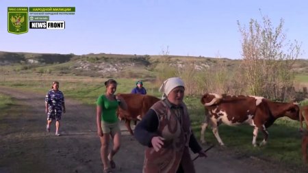 Мирные жители поселка Фрунзе попали под карательный обстрел ВСУ  - (видео)