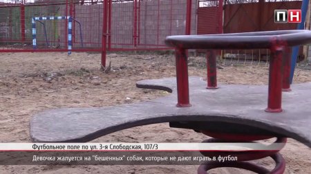 ПН TV:из-за собак дети не могут играть в футбол в одном из дворов Николаева  - (видео)