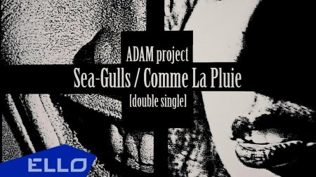 ПРЕЕМЬЕРА! ADAM project - Sea-Gulls / Comme La Pluie  - (видео)