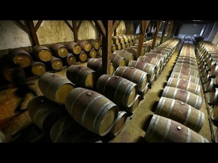Производство вина в мире снизилось (отчет OIV) - economy  - (видео)