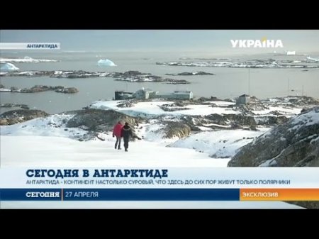 «Сегодня в Антарктиде» - серия 2  - (видео)