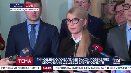 Тимошенко: Парубий - худшее проявление окружения Януковича  - (видео)