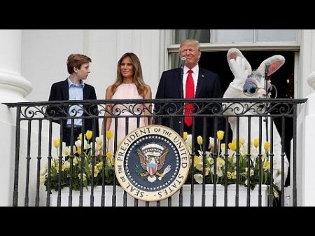 Трампы покатали яйца в Белом доме  - (видео)