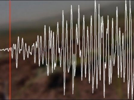 У берегов Чили произошло мощное землетрясение  - (видео)