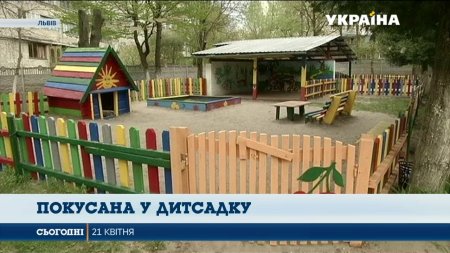 У Львові собака напав дівчинку на території дитсадка  - (видео)