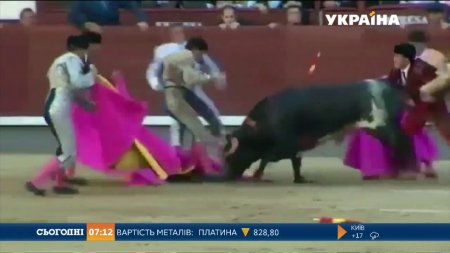 У Мадриді на арені бик заколов матадора  - (видео)