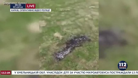 В Харькове подростков ударило током во время попытки сделать селфи  - (видео)