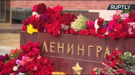 В Москве люди несут цветы к мемориалу города-героя Ленинграда в Александровском саду  - (видео)