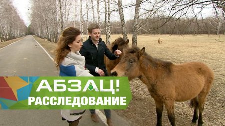 В угодьях Януковича устраивают запрещенные развлечения? Ч.1 - Абзац! - 04.04.2017  - (видео)
