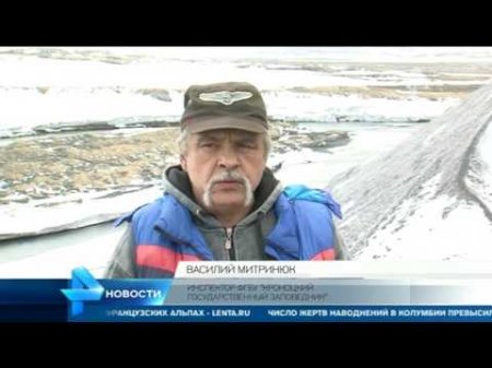 Вертолет МЧС эвакуирован наблюдавшего за вулканом сотрудника заповедника на Камчатке  - (видео)