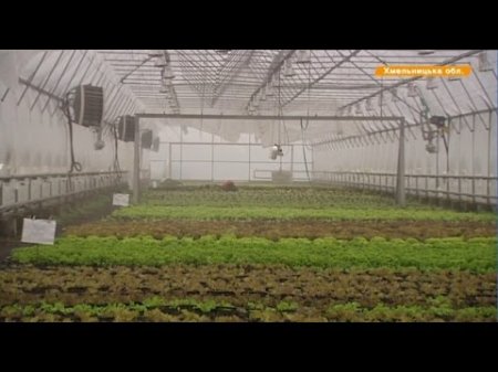 Вырастить овощи и бизнесменов: открыта уникальная школа  - (видео)