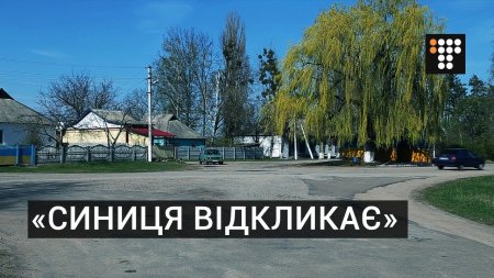 Як в селі Синиця на Київщині відкликали 8 з 12-ти депутатів  - (видео)