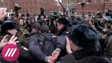 Задержания на Манежной площади 2 апреля  - (видео)