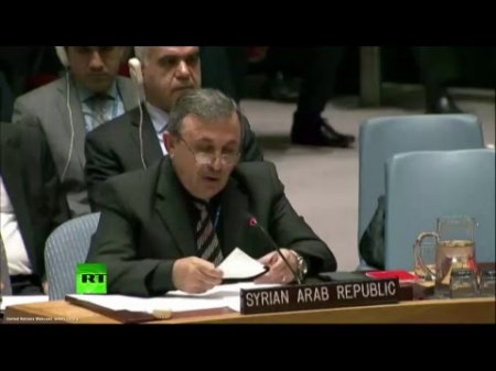 Заседание Совбеза ООН в связи с ракетными ударами США по Сирии  - (видео)