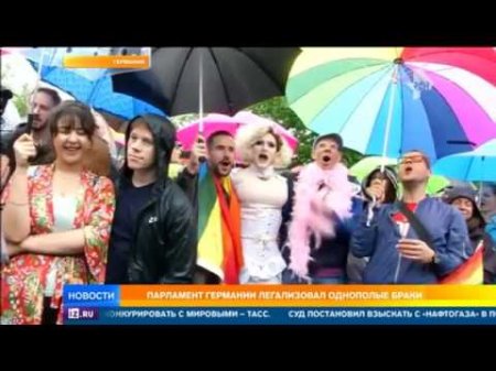 Немецкие правые о легализации гей-браков: Скоро брат сможет жениться на сестре?  - (видео)