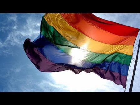 Однополые браки: немцы довольны  - (видео)