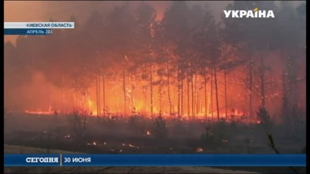 В Чернобыльской зоне продолжает гореть лес  - (видео)