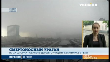 В Москве от непогоды погибли 3 человека  - (видео)