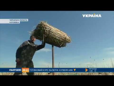 Будиночки для гніздування качок за американською технологією створюють на Черкащині  - (видео)