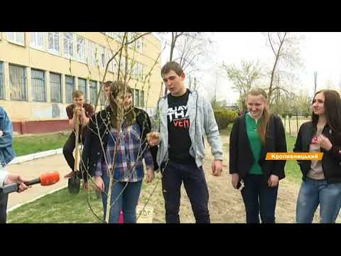 Чтобы Иво Бобула петь: в Кропивницком высадили почти 1000 деревьев  - (видео)