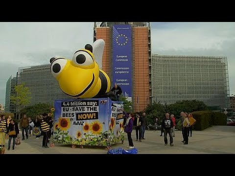 Евросоюз спасает пчел  - (видео)