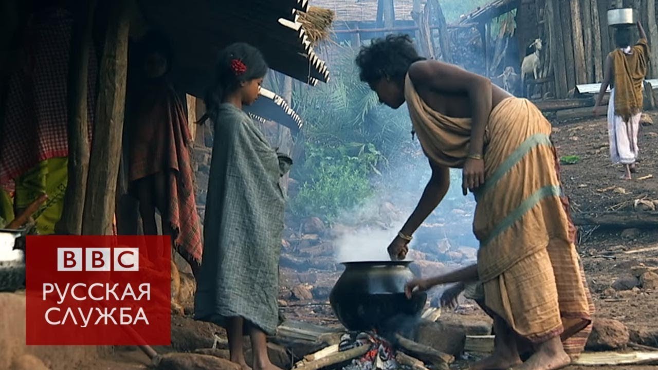 Как искоренить нищету за 15 лет: документальный фильм Би-би-си  - (видео)