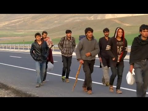 Новая волна беженцев  - (видео)