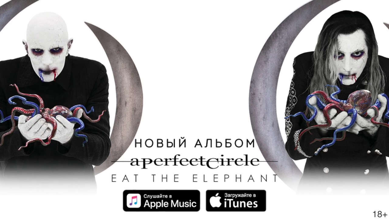 Новый альбом A Perfect Circle "Eat the Elephant"  - (видео)