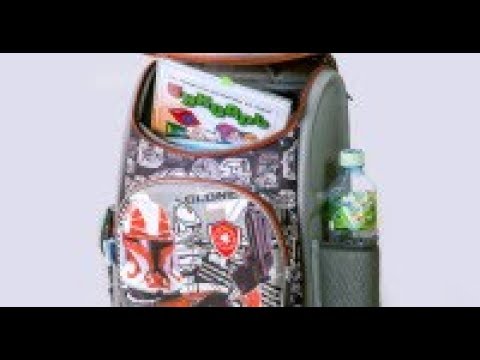 Сколько стоит школьный рюкзак в странах Содружества  - (видео)