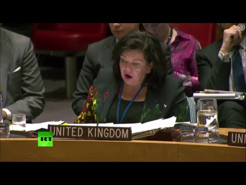 Заседание Совбеза ООН по докладу ОЗХО об инциденте в Солсбери  - (видео)