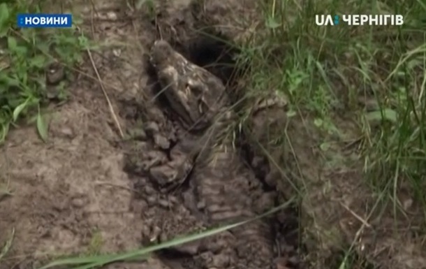 В селе Черниговской области нашли мертвого крокодила - (видео)