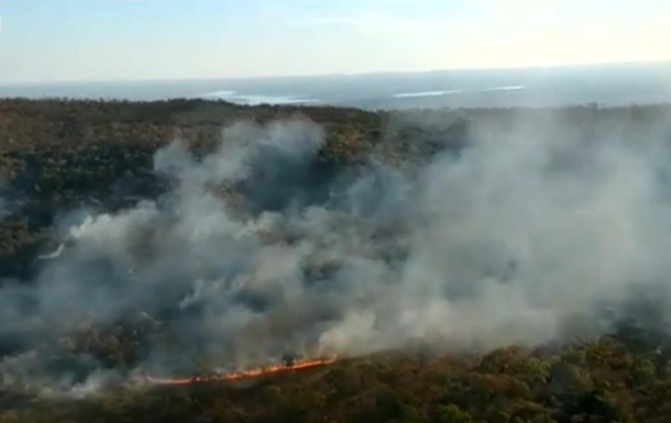 В лесах Бразилии рекордное количество пожаров - (видео)