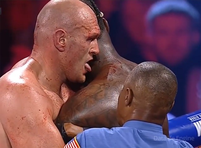 Тайсон во время боя облизал окровавленную шею Уайлдера (Видео) - «Новости спорта»