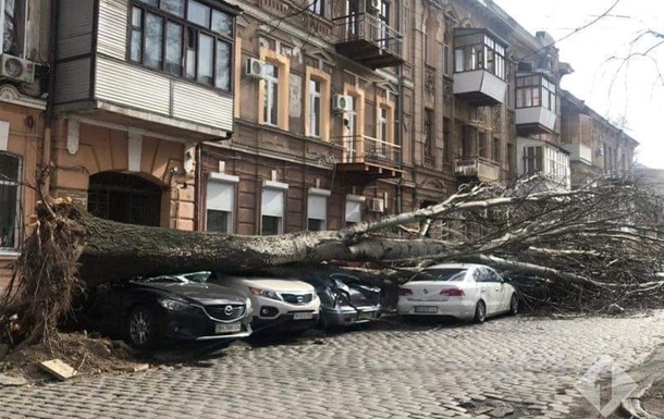 Ураган в Украине валит столбы и деревья, есть жертвы - (видео)