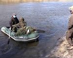 Рыбинспекторы вместе с патрульными не только ловят преступников, но и создают искусственные нерестилища для рыбы - «Видео - Украина»
