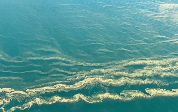 Позеленевшее Черное море показали на видео - (видео)