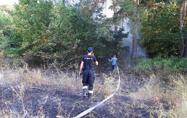 На Днепропетровщине всю ночь боролись с лесным пожаром - (видео)